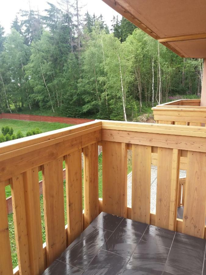 Апартаменты Apartament Podgorze 21 Шклярска-Поремба Экстерьер фото